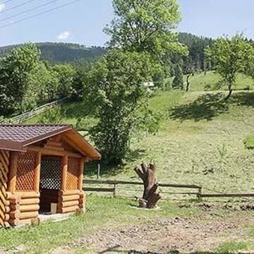 Фотографии Дома для отпуска Синевирська Поляна Котедж Під лісом г. Синевирская Поляна (Украина) №3 Фото Дома для отпуска Синевирська Поляна Котедж Під лісом г. Синевирская Поляна 3